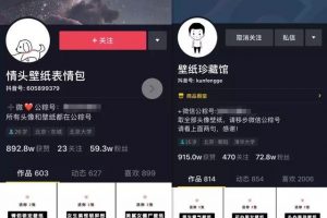 [抖音壁纸号]分享抖音壁纸号年赚20W的玩法，一个冷门也偏门的正规网赚项目