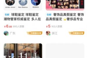 [闲鱼平台变现方式]玩赚闲鱼：闲鱼平台的规则和N种变现方式，让你迅速找到方向