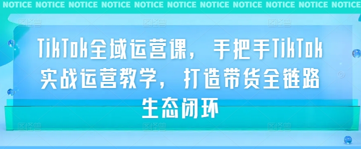 TikTok全域运营课,手把手TikTok实战运营教学,打造带货全链路生态闭环插图 TikTok全域运营课,手把手TikTok实战运营教学,打造带货全链路生态闭环