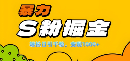 单人单机日引千粉,变现1k+,S粉流量掘金计划攻略【揭秘】插图 单人单机日引千粉,变现1k+,S粉流量掘金计划攻略【揭秘】