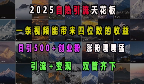 2025自热引流天花板,一条视频能带来四位数的收益,引流+变现双管齐下,日引500+创业粉,涨粉嘎嘎猛插图 2025自热引流天花板,一条视频能带来四位数的收益,引流+变现双管齐下,日引500+创业粉,涨粉嘎嘎猛